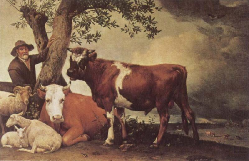 POTTER, Paulus Young Bull china oil painting image